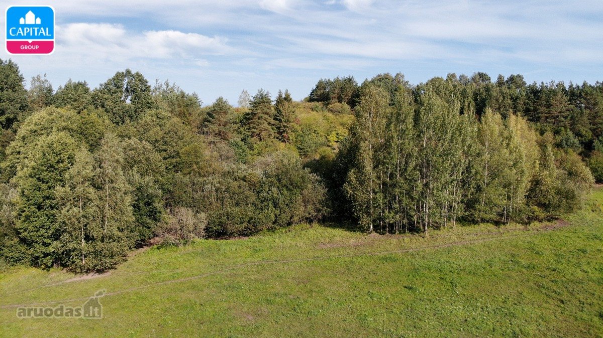Parduodamas Sklypas Su Mišku Prienuose, Kauno - nuotraukos Nr. 3