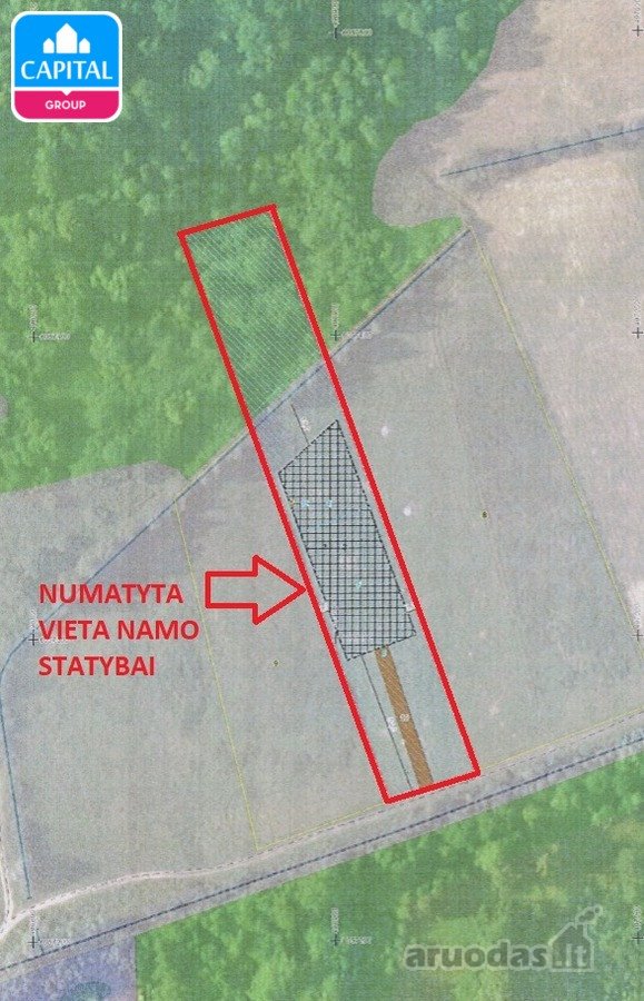 Parduodamas Sklypas Su Mišku Prienuose, Kauno - nuotraukos Nr. 4