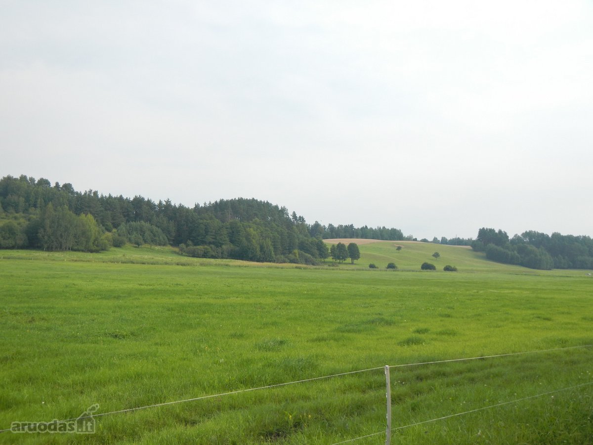 Parduodamas Sklypas Su Mišku Prienuose, Kauno - nuotraukos Nr. 7