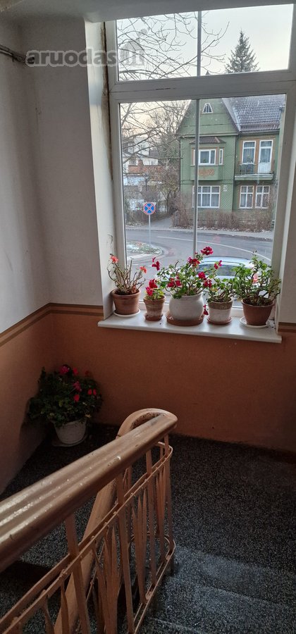 Erdvus Butas Žaliakaknyje - nuotraukos Nr. 22