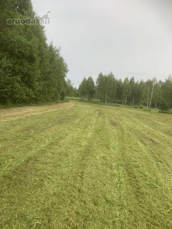 Išskirtinis sklypas gamtos apsuptyje – puiki - nuotraukos Nr. 3