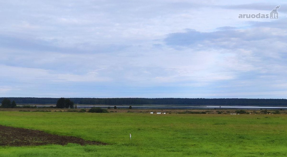 Vaizdas į ežerą. Netoli miškas. Nuošali vieta - nuotraukos Nr. 4