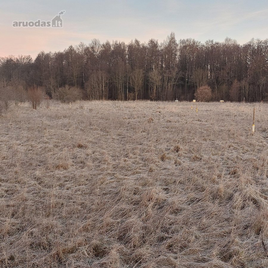 Parduodami 3 žemės sklypai (namų valdos - nuotraukos Nr. 4