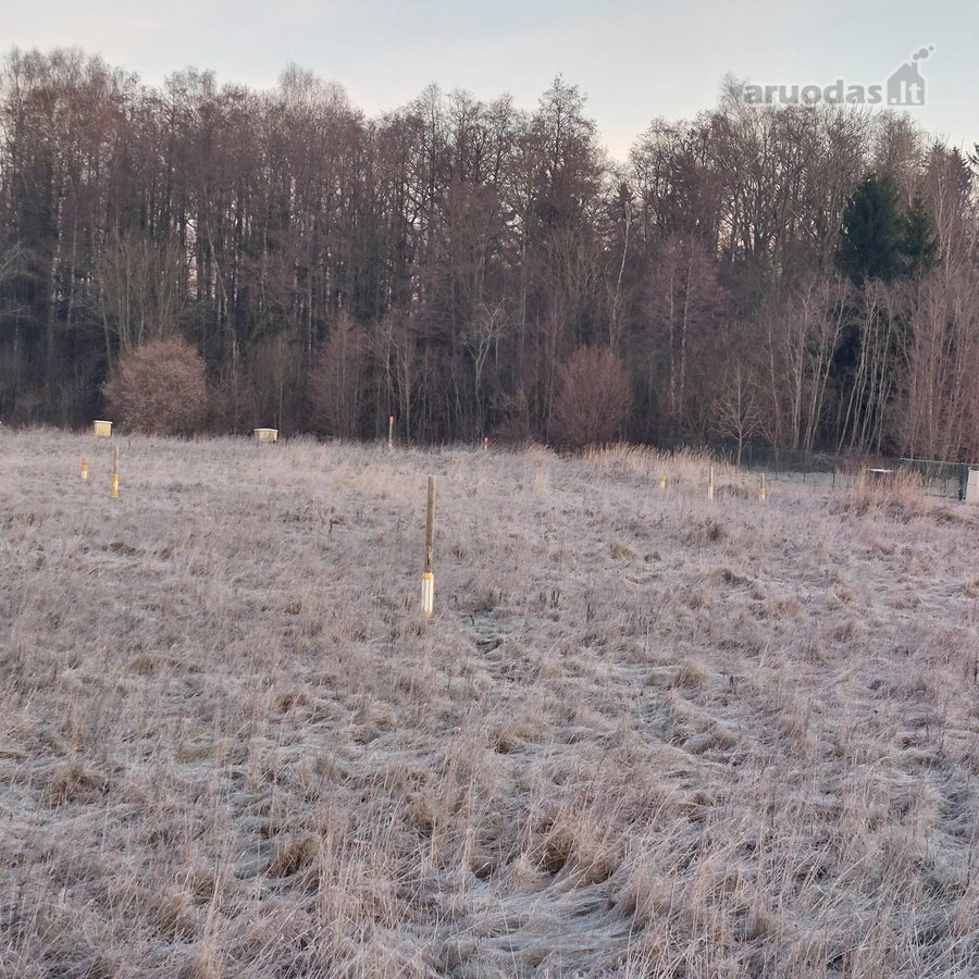 Parduodami 3 žemės sklypai (namų valdos - nuotraukos Nr. 5