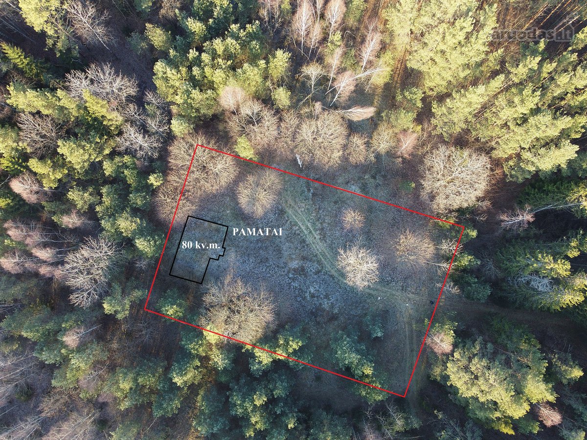 Pundeliškių Gyvenenvetėje Gamtos Apsuptyje - nuotraukos Nr. 6