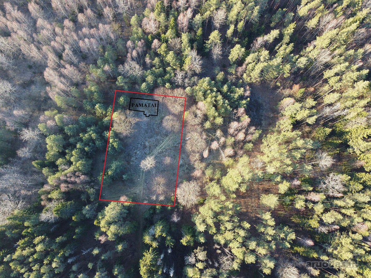 Pundeliškių Gyvenenvetėje Gamtos Apsuptyje - nuotraukos Nr. 5