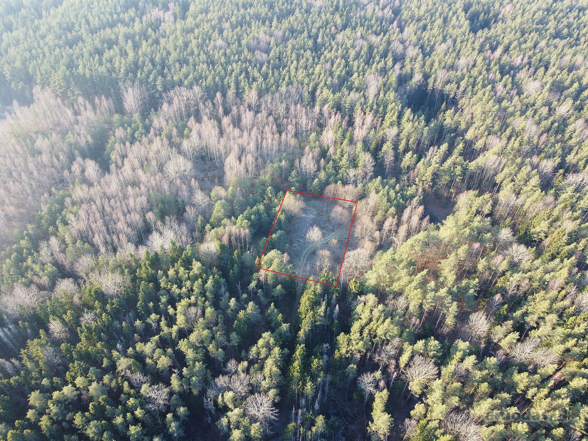 Pundeliškių Gyvenenvetėje Gamtos Apsuptyje - nuotraukos Nr. 3