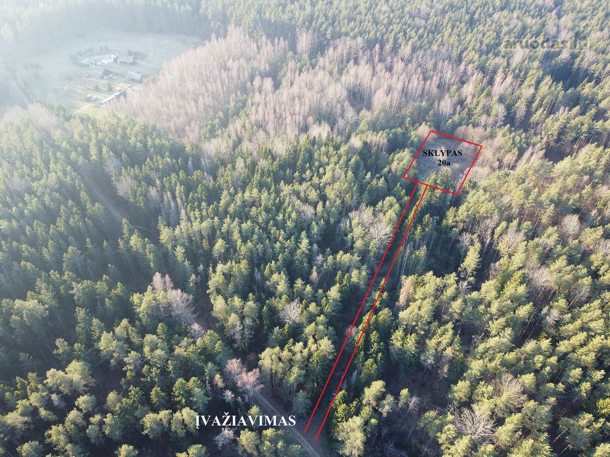 Pundeliškių Gyvenenvetėje Gamtos Apsuptyje - nuotraukos Nr. 4