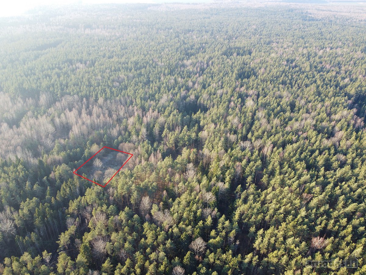 Pundeliškių Gyvenenvetėje Gamtos Apsuptyje - nuotraukos Nr. 2