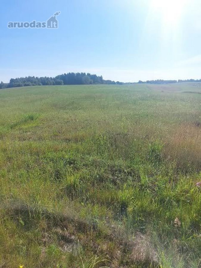 Skubiai Parduodu žemės sklypą,. Barliškių km - nuotraukos Nr. 3