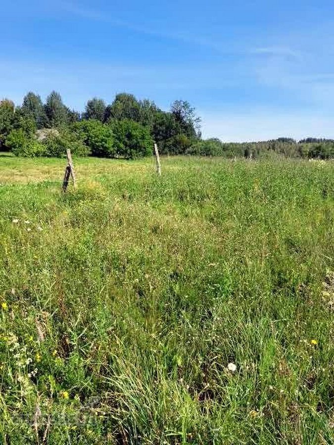 Skubiai Parduodu žemės sklypą,. Barliškių km - nuotraukos Nr. 4