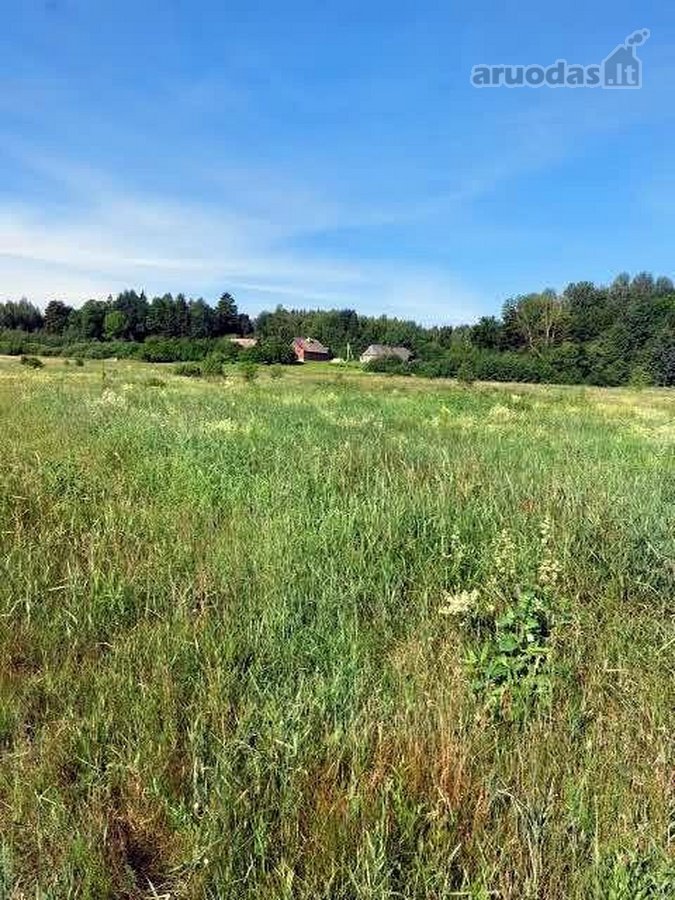 Skubiai Parduodu žemės sklypą,. Barliškių km - nuotraukos Nr. 5
