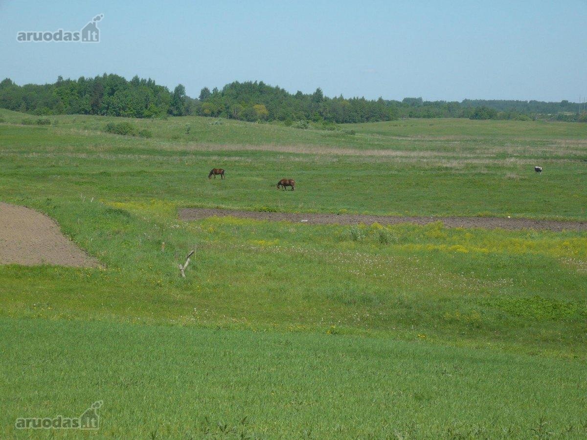 Skubiai Parduodu žemės sklypą,. Barliškių km - nuotraukos Nr. 7
