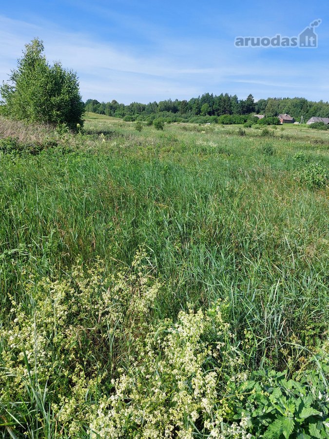 Skubiai Parduodu žemės sklypą,. Barliškių km - nuotraukos Nr. 2