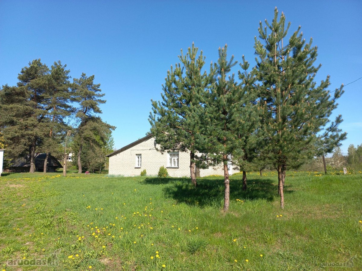 Parduodamas gyvenamasis namas ir žemės - nuotraukos Nr. 19