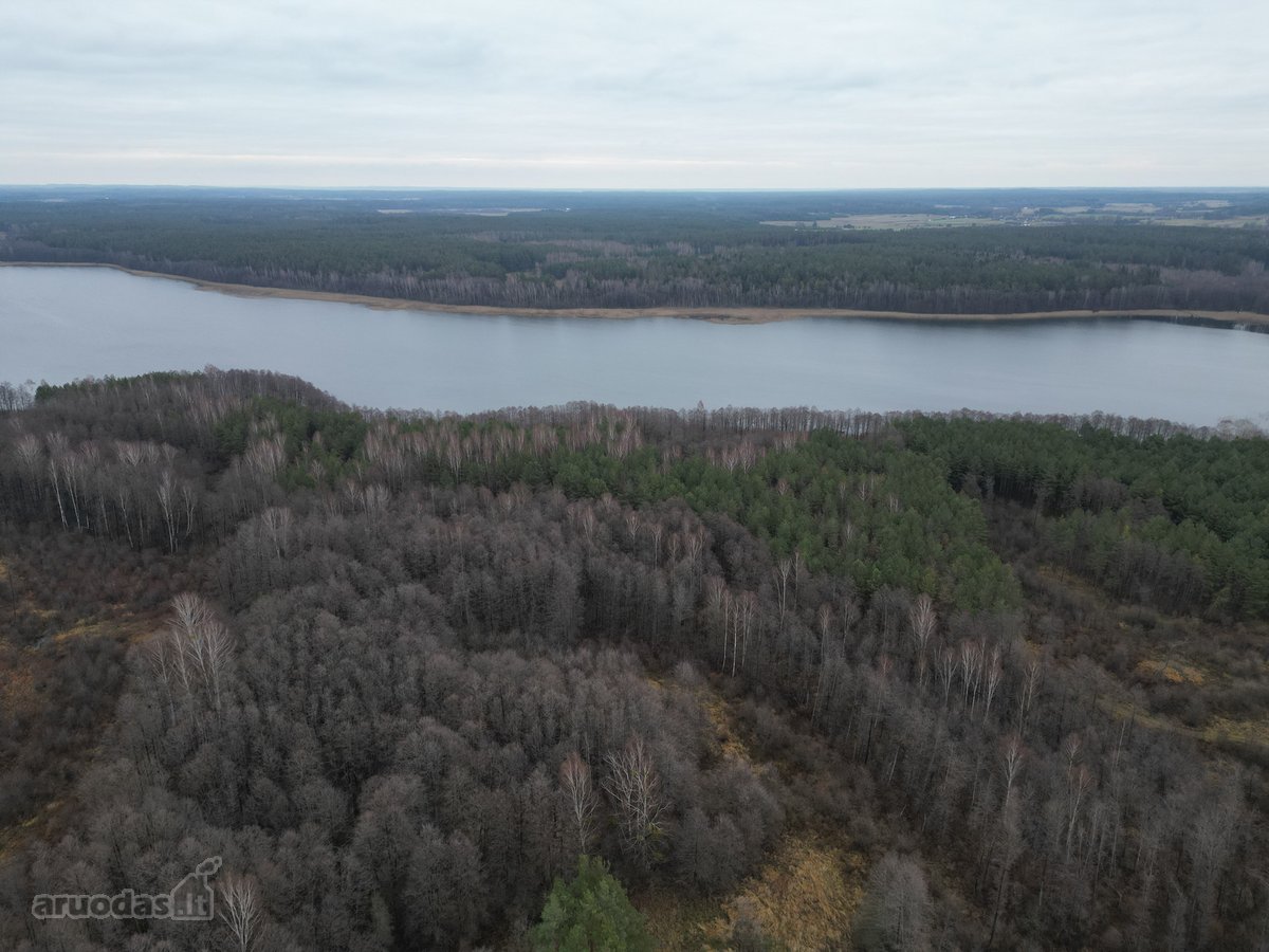 Išskirtinio dydžio, net 29 ha žemės ūkio - nuotraukos Nr. 24