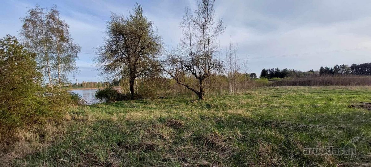 Parduodas 30a Namu valdos sklypas. Šalia - nuotraukos Nr. 3
