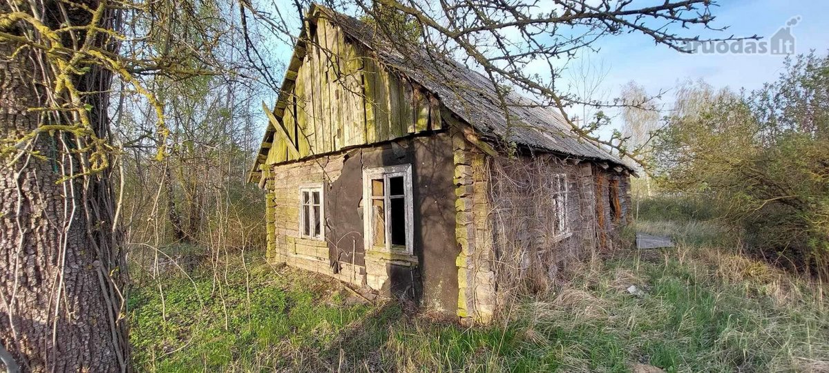 Parduodas 30a Namu valdos sklypas. Šalia - nuotraukos Nr. 4
