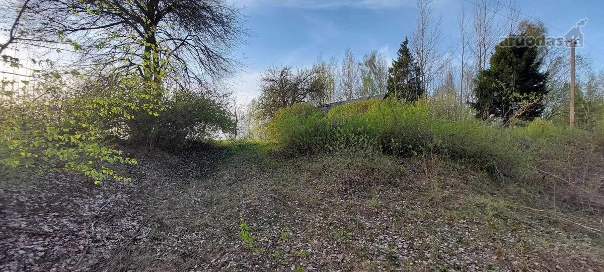 Parduodas 30a Namu valdos sklypas. Šalia - nuotraukos Nr. 5