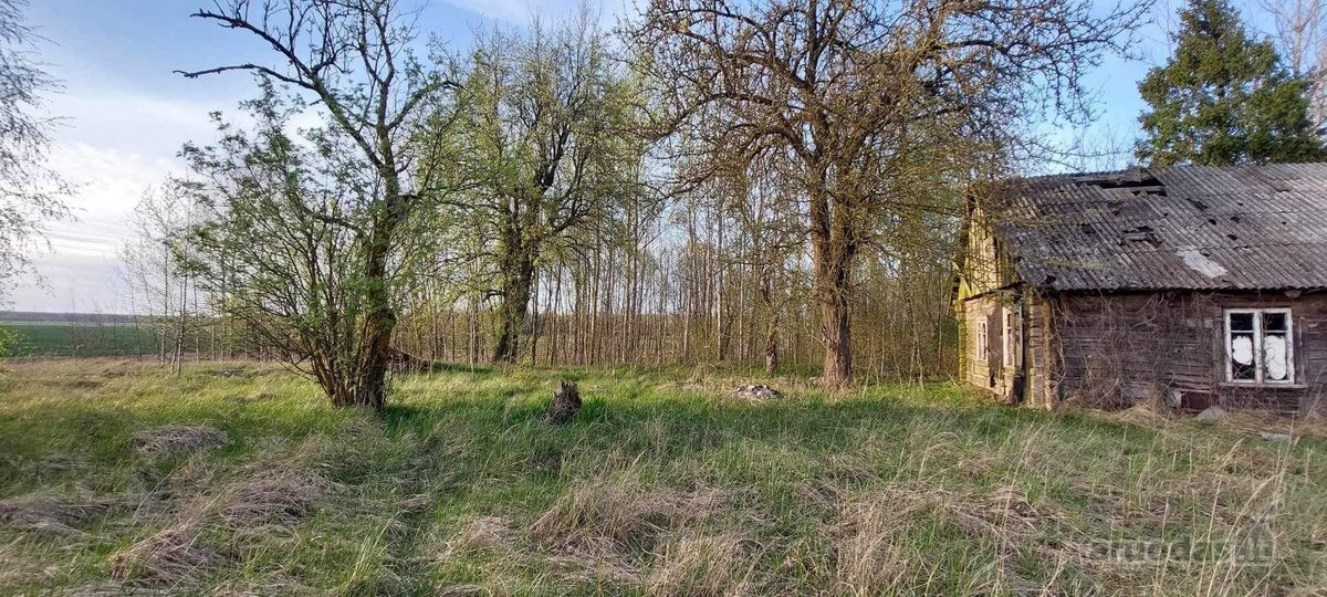 Parduodas 30a Namu valdos sklypas. Šalia - nuotraukos Nr. 6