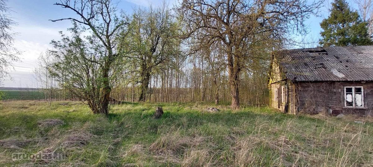 Parduodas 30a Namu valdos sklypas. Šalia - nuotraukos Nr. 7