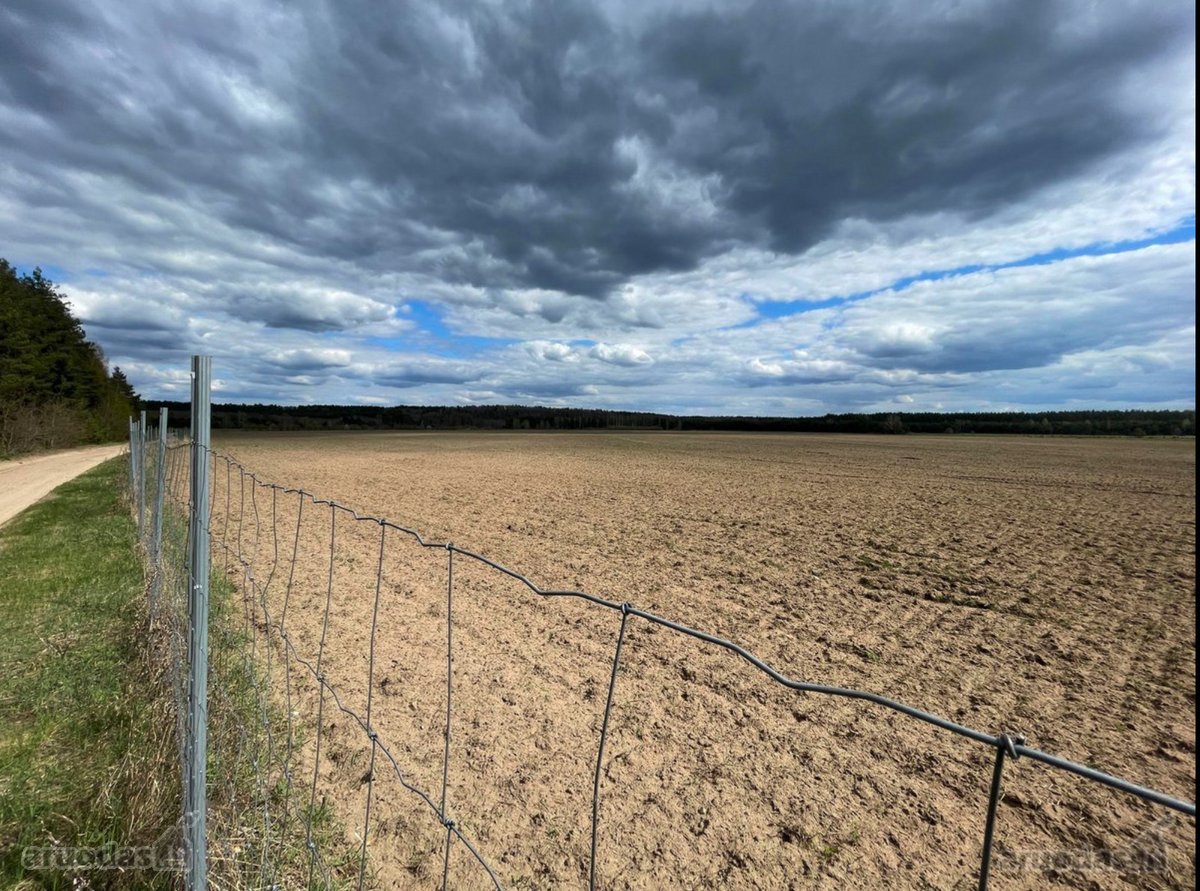 Išnuomojamas unikalus vientisas žemės sklypas - nuotraukos Nr. 2