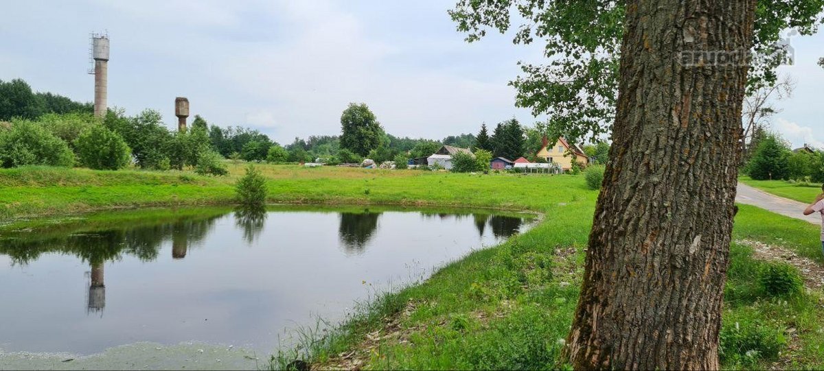 Yra grezinys, vanduo, pravesta elektra, salia - nuotraukos Nr. 5