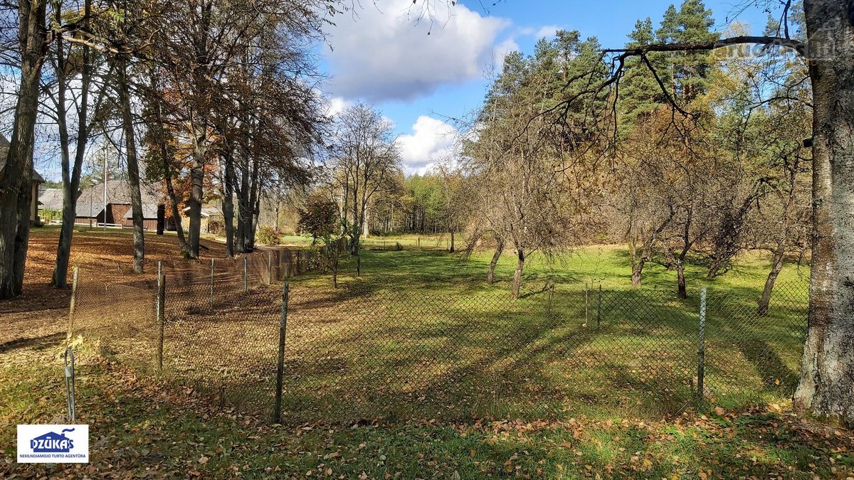 Nuostabiame Druskininkų savivaldybės - nuotraukos Nr. 8