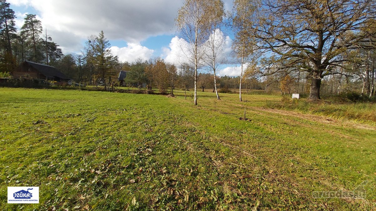 Nuostabiame Druskininkų savivaldybės - nuotraukos Nr. 9