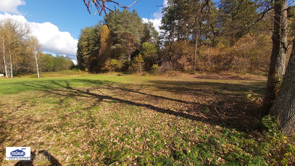 Nuostabiame Druskininkų savivaldybės - nuotraukos Nr. 10