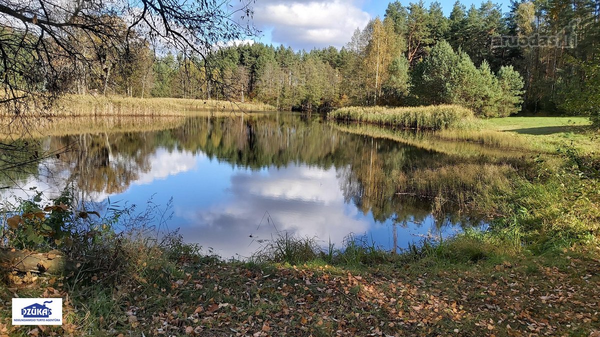 Nuostabiame Druskininkų savivaldybės - nuotraukos Nr. 11