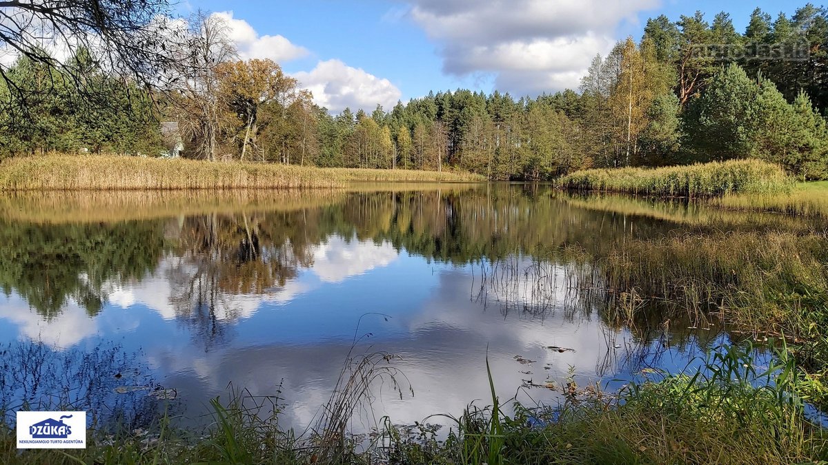 Nuostabiame Druskininkų savivaldybės - nuotraukos Nr. 12