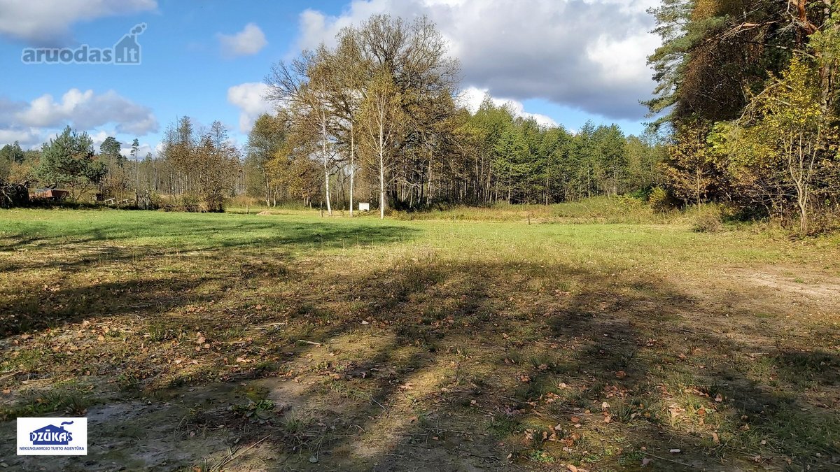 Nuostabiame Druskininkų savivaldybės - nuotraukos Nr. 13