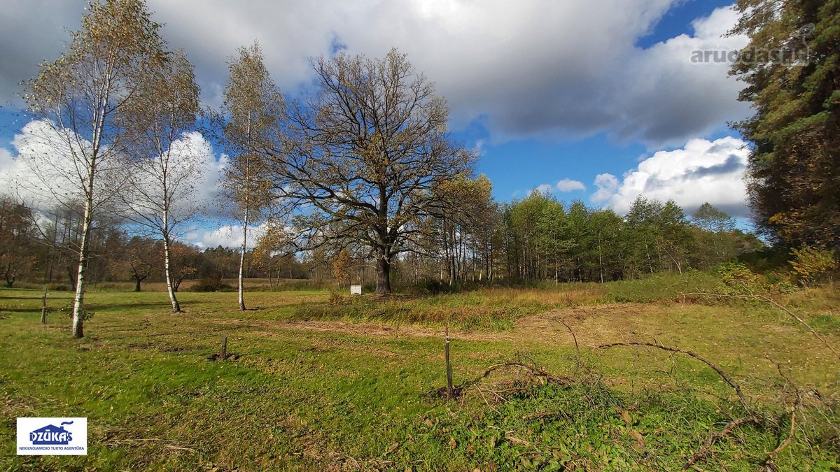 Nuostabiame Druskininkų savivaldybės - nuotraukos Nr. 20