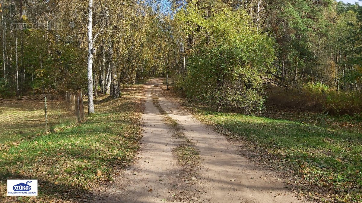 Nuostabiame Druskininkų savivaldybės - nuotraukos Nr. 23