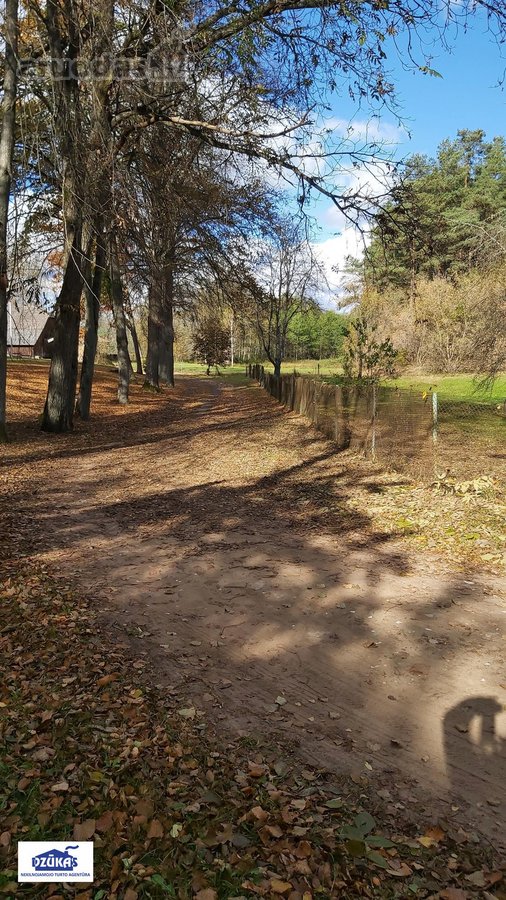 Nuostabiame Druskininkų savivaldybės - nuotraukos Nr. 24