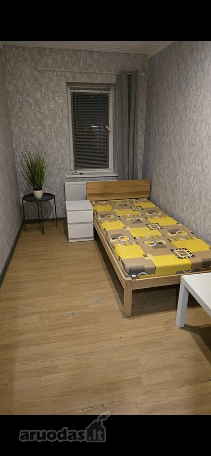 Išnuomojamas 1 vienvietis ir 1 dvivietis - nuotraukos Nr. 4