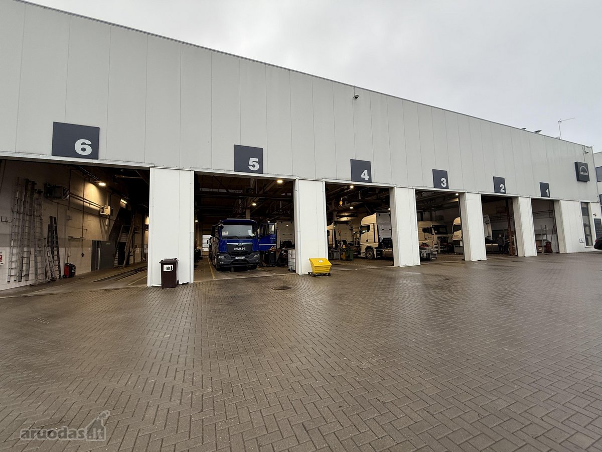 Šalia Klaipėda–kaunas–Vilnius automagistralės - nuotraukos Nr. 6