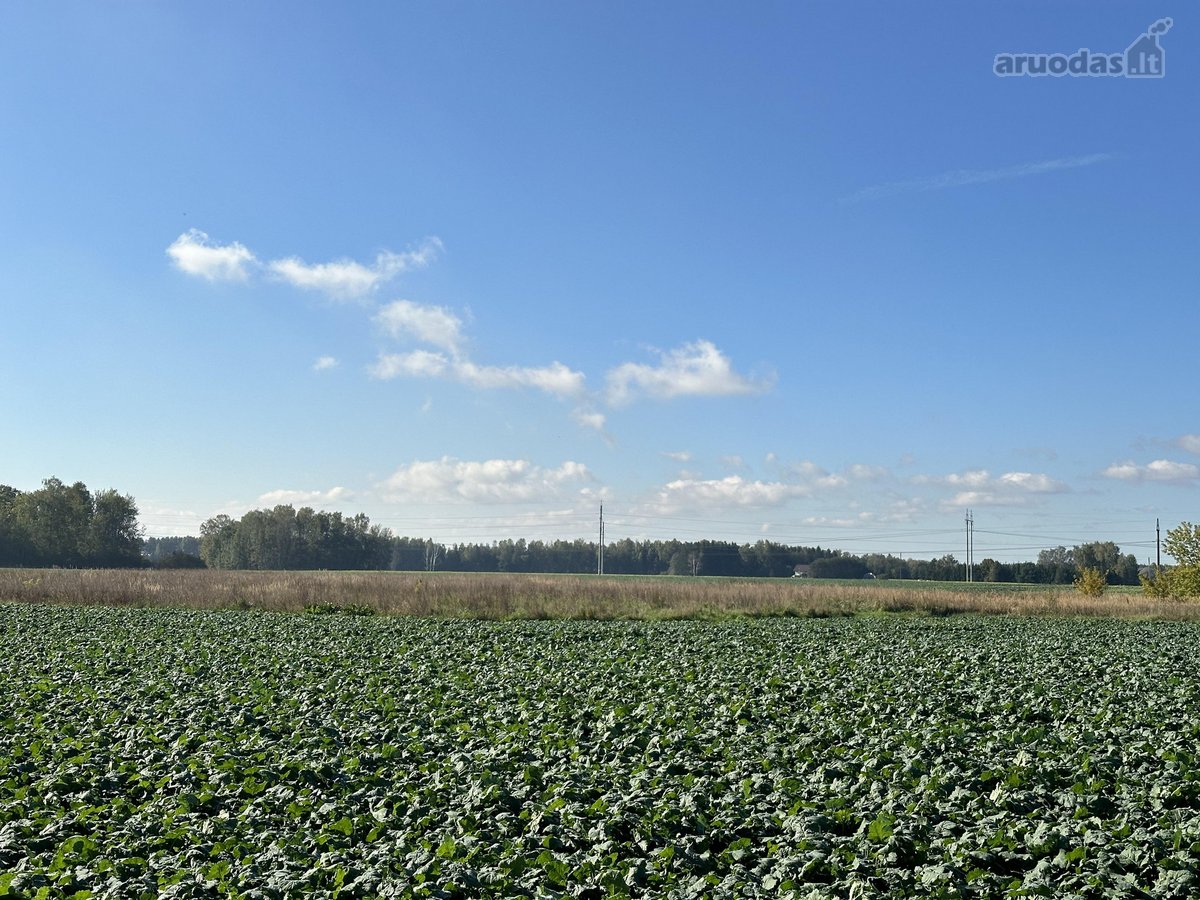 Parduodami Sklypai Panevėžio Mieste Nuosavų - nuotraukos Nr. 2