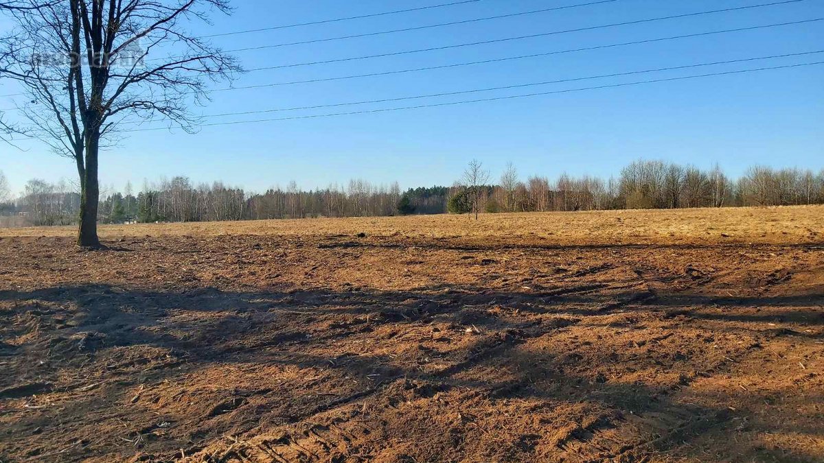 Be tarpininkų parduodamas 21 a sklypas (namų - nuotraukos Nr. 4