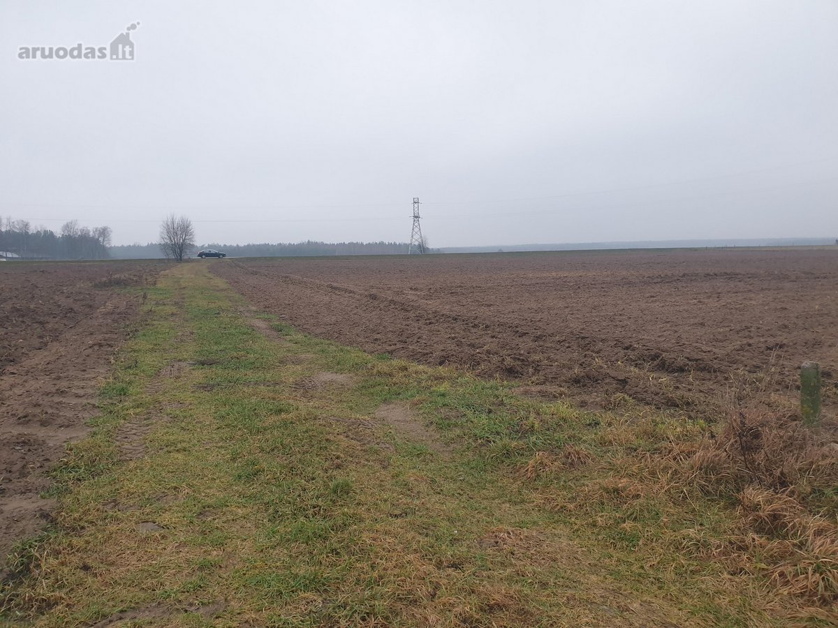 Namų valdos sklypas, asfaltuotas - nuotraukos Nr. 11