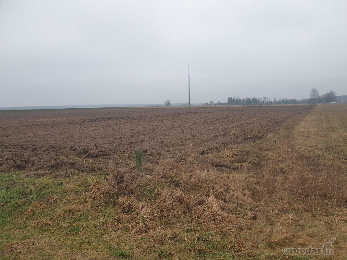 Namų valdos sklypas, asfaltuotas - nuotraukos Nr. 12