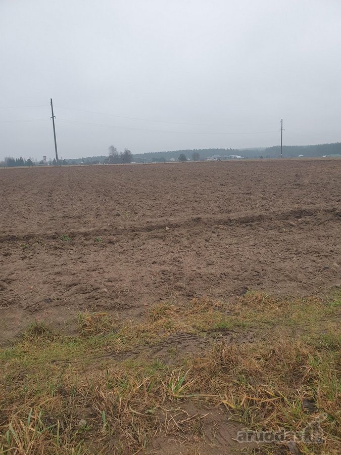 Namų valdos sklypas, asfaltuotas - nuotraukos Nr. 13