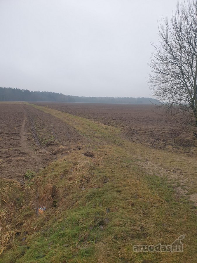 Namų valdos sklypas, asfaltuotas - nuotraukos Nr. 14