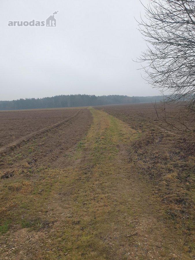 Namų valdos sklypas, asfaltuotas - nuotraukos Nr. 15
