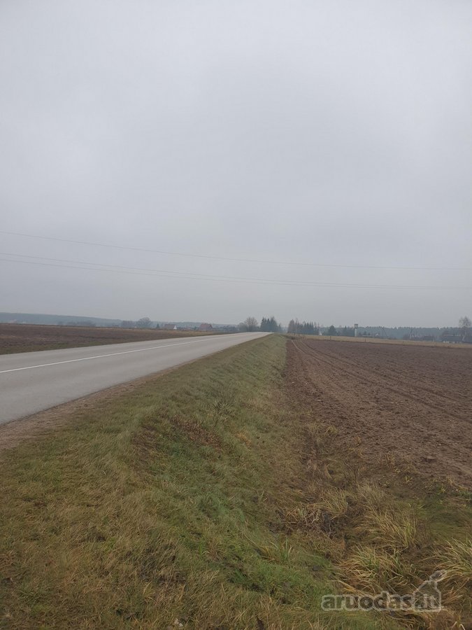 Namų valdos sklypas, asfaltuotas - nuotraukos Nr. 16