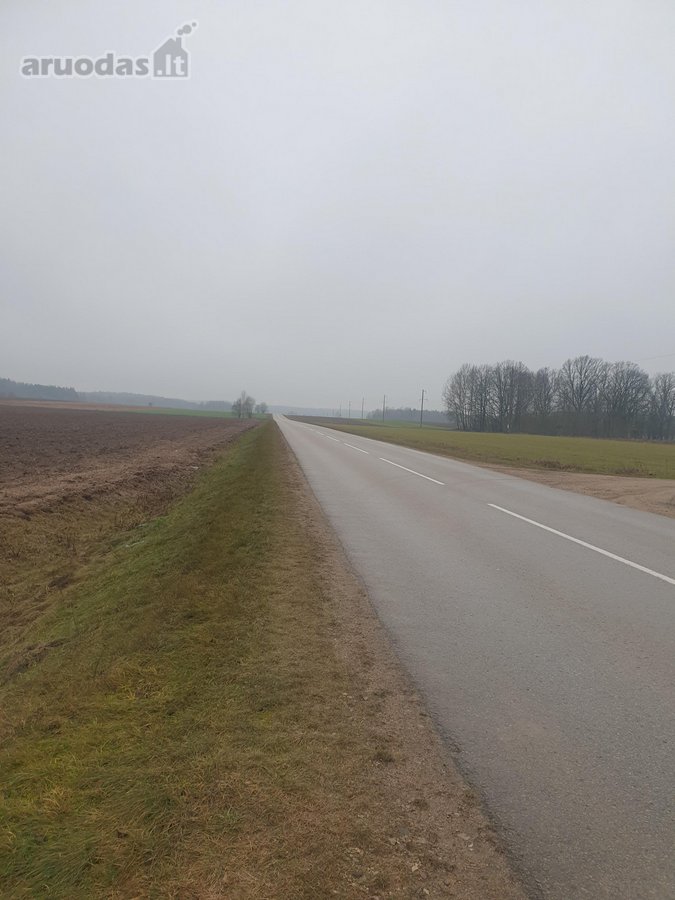 Namų valdos sklypas, asfaltuotas - nuotraukos Nr. 17
