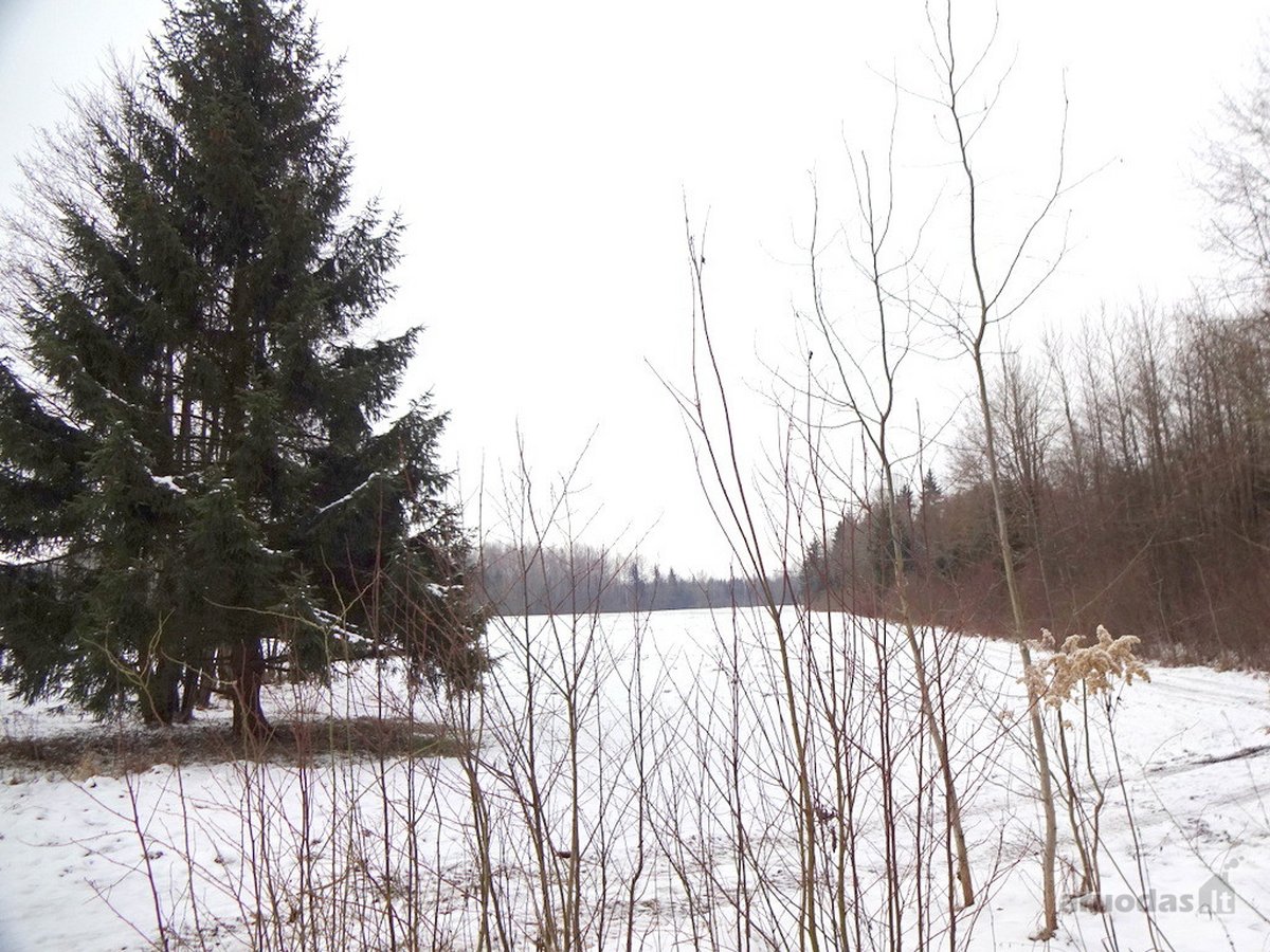 Parduodamas 2,66ha žemės ūkio paskirties - nuotraukos Nr. 28