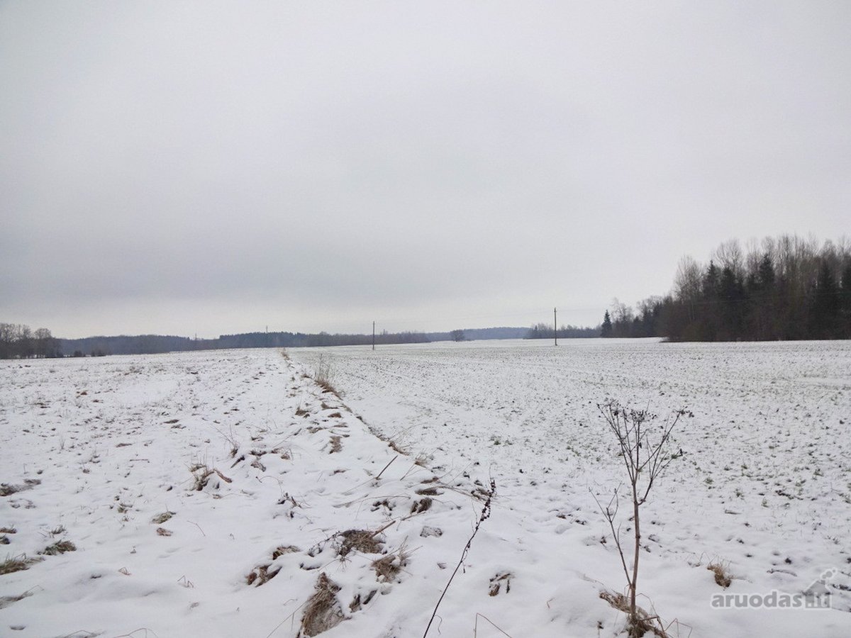Parduodamas 2,66ha žemės ūkio paskirties - nuotraukos Nr. 29