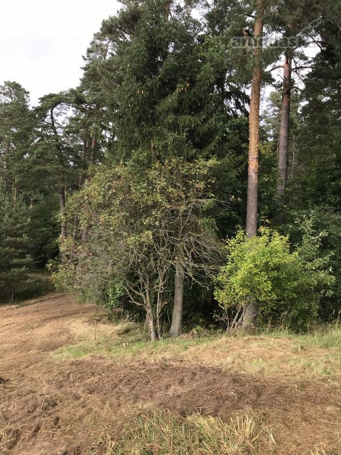 Parduodamas namų valdos 16,38 arų sklypas - nuotraukos Nr. 8